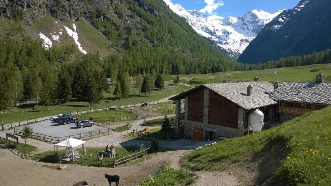 La Ferme Du Grand Paradis Cogne Exterior photo
